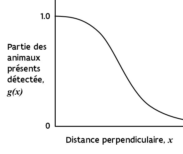 Fonction de détection théorique, plus la distance d’observation augmente plus la probabilité de détecter un groupe de chevreuils diminue.