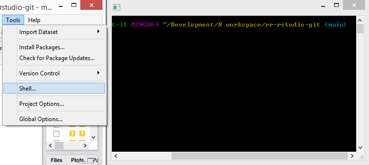 RStudio setup git shell