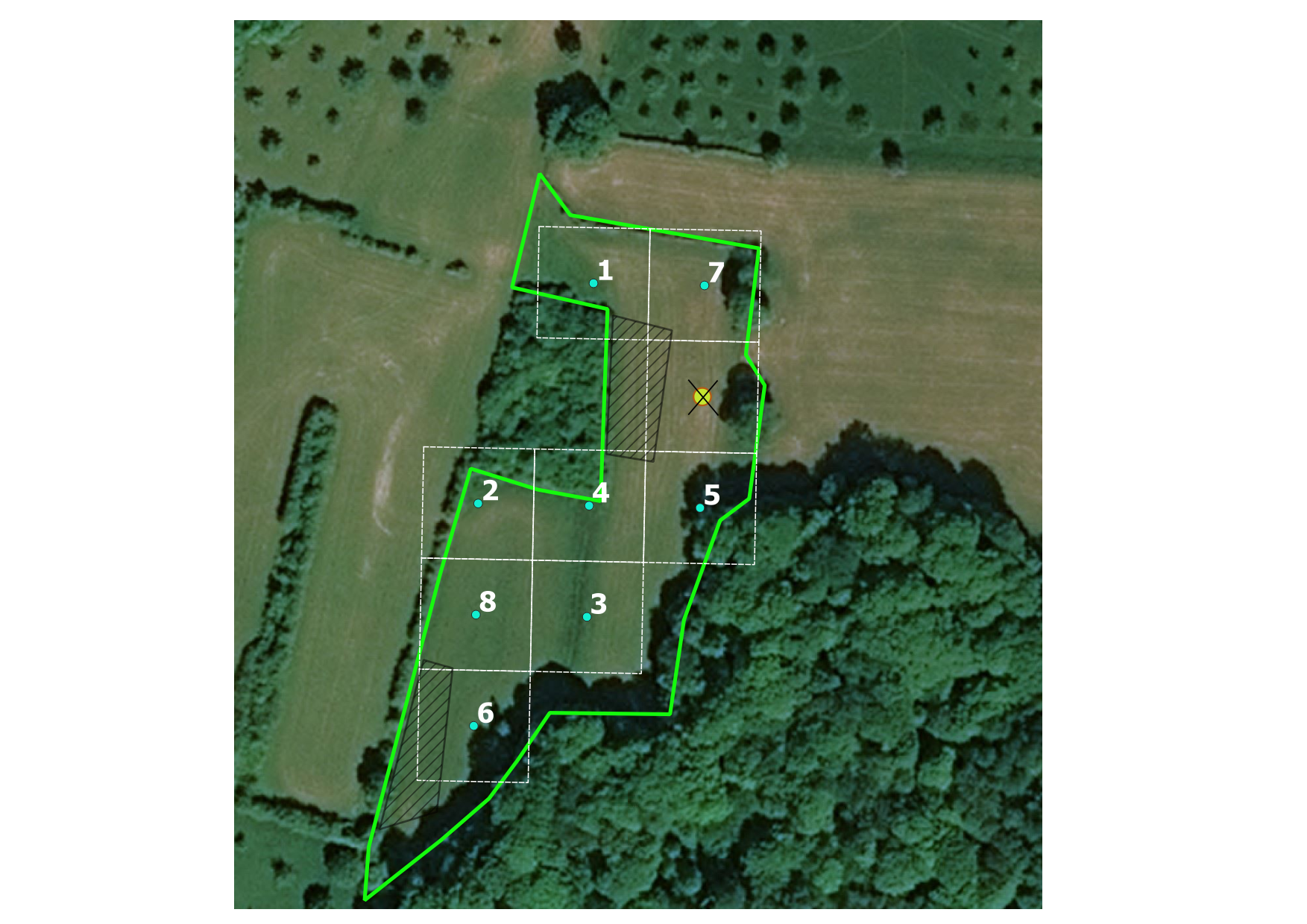 Het doelhabitat is aanwezig in de polygoon maar er is geen enkel vervangpunt dat binnen het doelhabitat valt