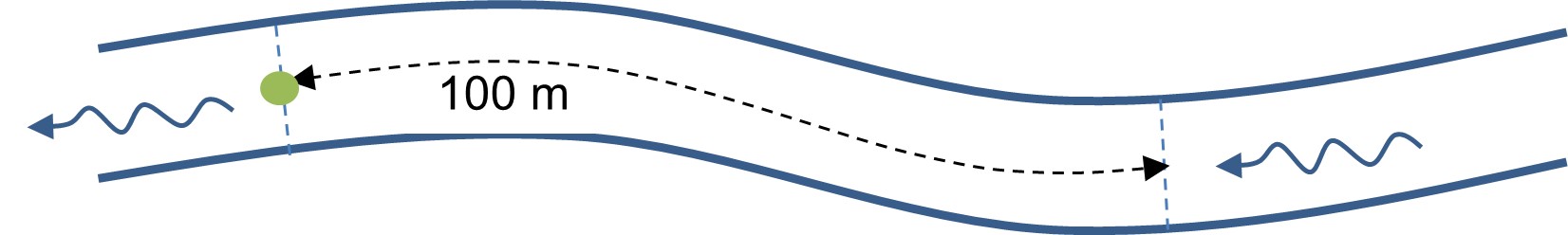 Schematische voorstelling van het te inventariseren 100 m-segment, met aanduiding van het steekproefpunt (groene bol) en stroomrichting (blauwe pijl)