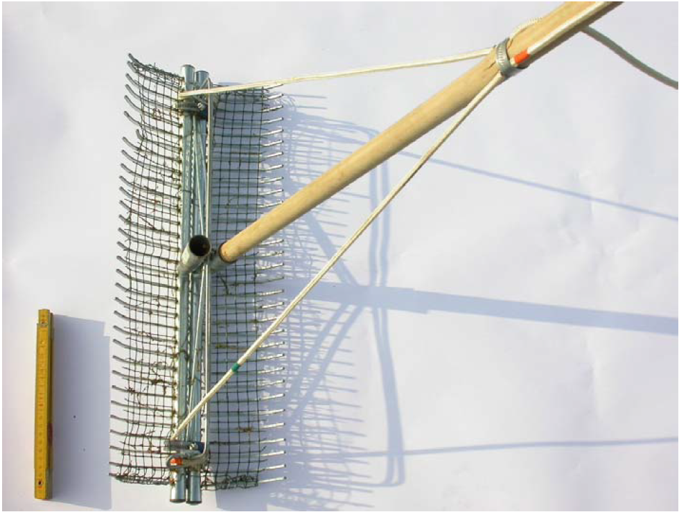 Dubbelzijdige dreghark (Schneiders et al., 2004; foto Jo Packet)