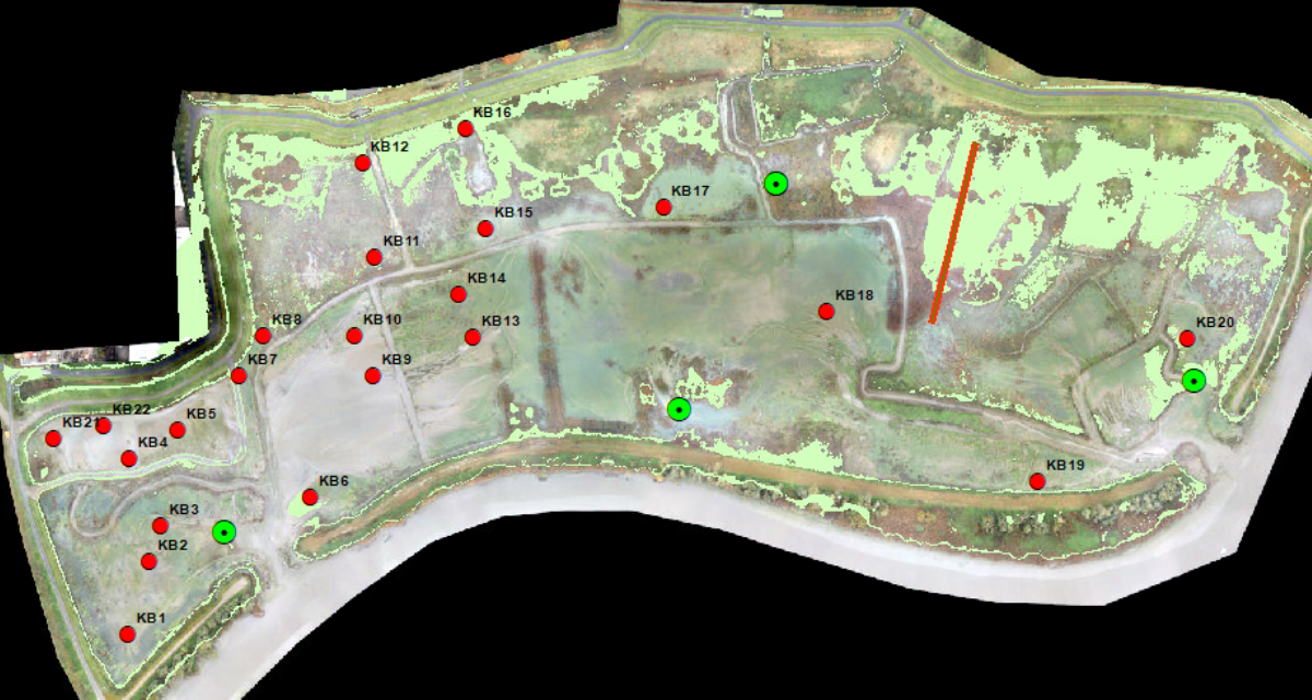 Staalnamepunten in Klein Broek (rood). De hoogteraai is aangeduid met een rode streep. Locaties van peilbuizen zijn in het groen aangeduid.