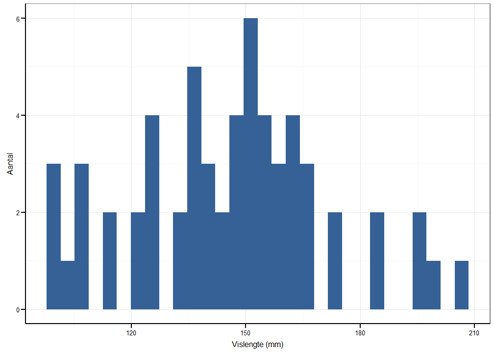Lengteverdeling van elvers gevangen met de palinggoot in Balgerhoeke voor de hele studieperiode (22 maart 2023 - 25 mei 2023).