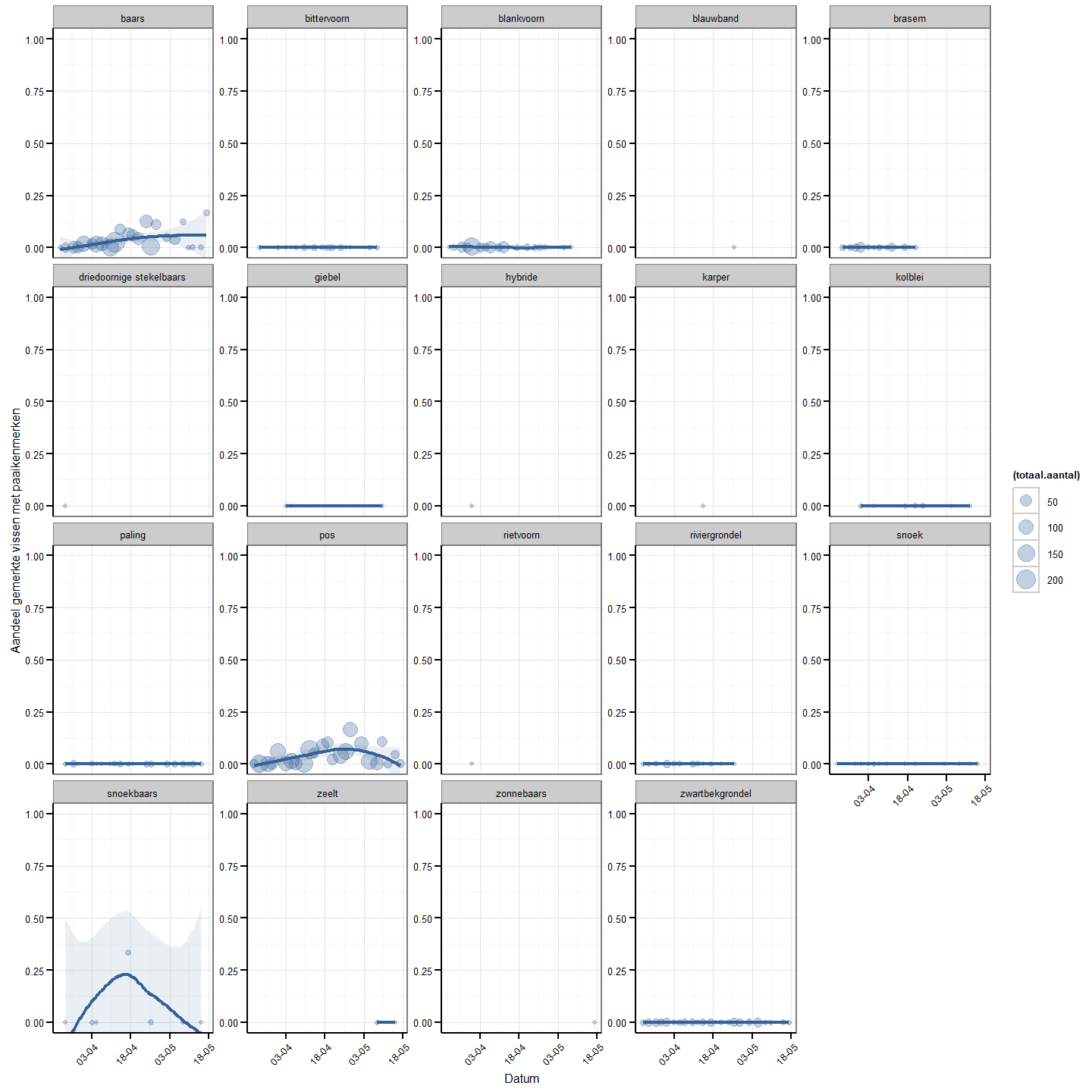 Aandeel gemerkte vissen met paaikenmerken op totale fuikvangst per soort. Elk punt geeft de vangst van één dag weer. De grootte van de punten weerspiegelt de totale vangst per soort. Loess smoothing (span=1) werd gebruikt om een eventuele trend te visualiseren (blauwe lijn). Voor deze smoothing krijgen dagen met een grotere vangst een groter gewicht (lineaire verhouding toekenning gewicht). 95% betrouwbaarheidsintervallen van de loess smoothing zijn weergegeven als een grijze band.
