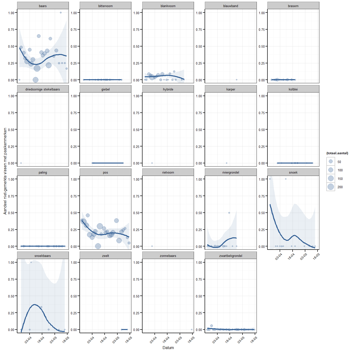 Aandeel niet-gemerkte vissen met paaikenmerken op totale fuikvangst per soort. Elk punt geeft de vangst van één dag weer. De grootte van de punten weerspiegelt de totale vangst per soort. Loess smoothing (span=1) werd gebruikt om een eventuele trend te visualiseren (blauwe lijn). Voor deze smoothing krijgen dagen met een grotere vangst een groter gewicht (lineaire verhouding toekenning gewicht). 95% betrouwbaarheidsintervallen van de loess smoothing zijn weergegeven als een grijze band.