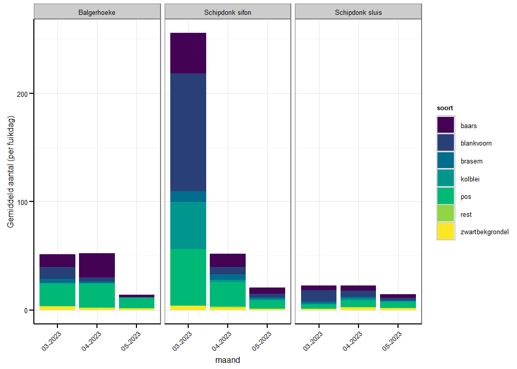 Verdeling van de gemiddelde vangsten per fuikdag en per vissoort in Balgerhoeke, Schipdonk sifon en Schipdonk sluis per maand (rest = overige vissoorten die elk minder dan 5% van de vangsten uitmaken).