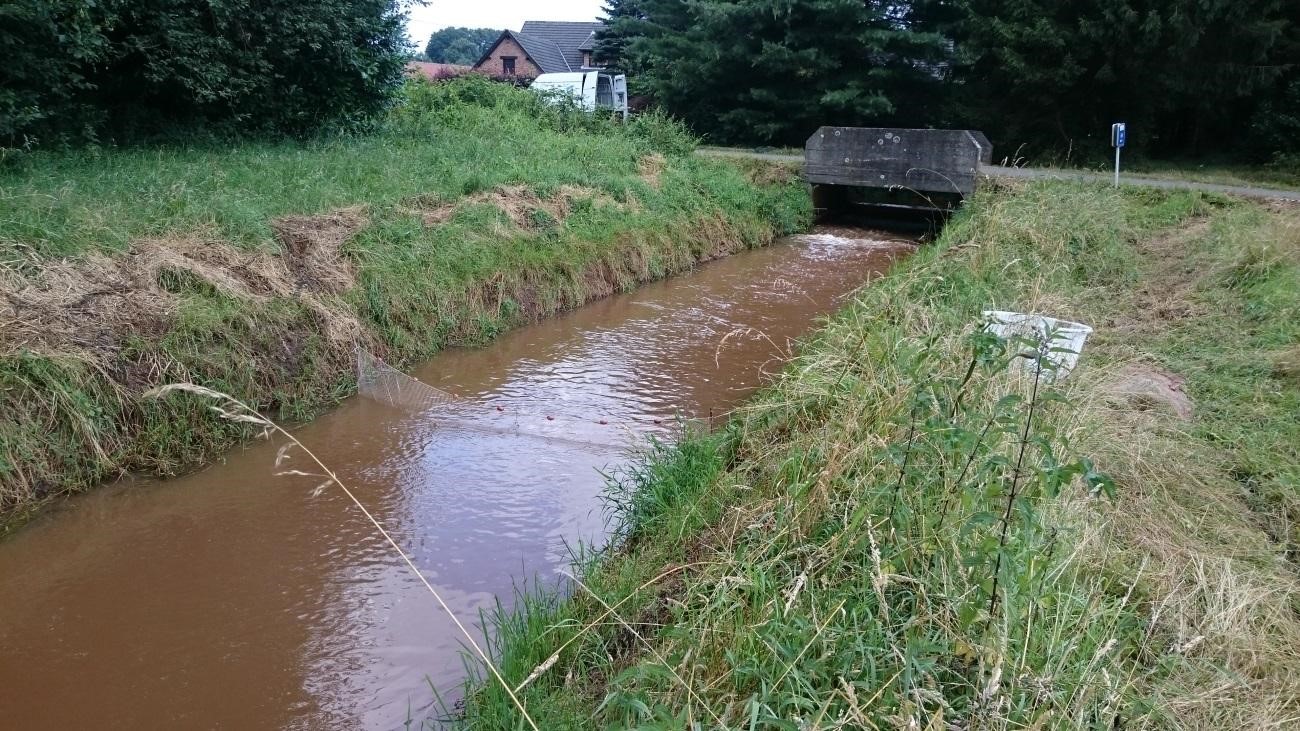 Bloknet in de Zwarte Beek aan het stroomopwaarts einde van een traject (Foto: INBO).