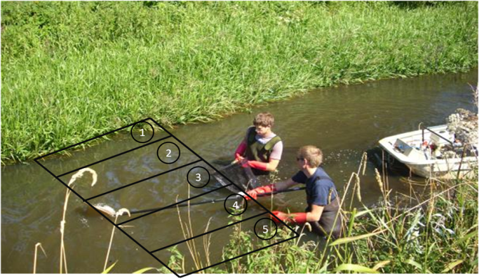 Cellenraster waarbinnen de veldmetingen gebeuren (links), zoals bijvoorbeeld het opmeten van de stroomsnelheid met behulp van een stroomsnelheidsmeter (rechts).