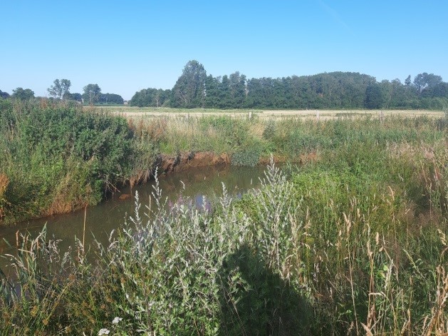Diepe buitenbocht met afkalvende oever van een meander in traject 3 van sectie Bocht van Laren (links) en diepe (>1,7 m) niet te doorwaden bocht (rechts) tijdens de 2019 habitatopmeting (Foto's David Buysse).