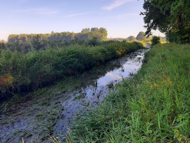 Vrije doorgang onder de vernieuwde hefstuw van Bervoets (links) en vegetatierijk traject nr 3 stroomopwaarts van de Gestelse molen (rechts) (Foto's David Buysse).