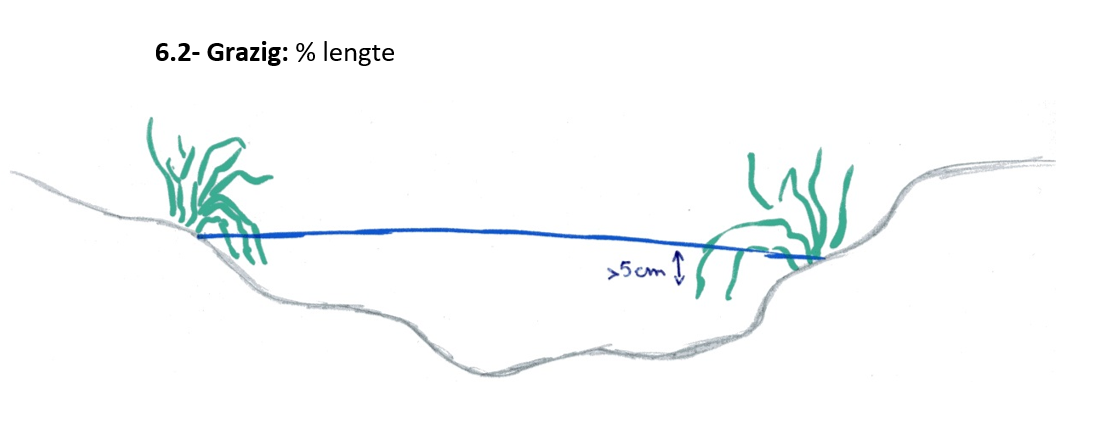 Meten van de grazige inhangende cover