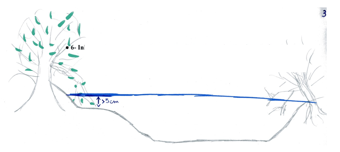 Meten van de houtige inhangende cover